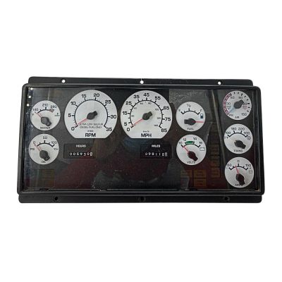 2009 INTERNATIONAL PB305 INSTRUMENT CLUSTER